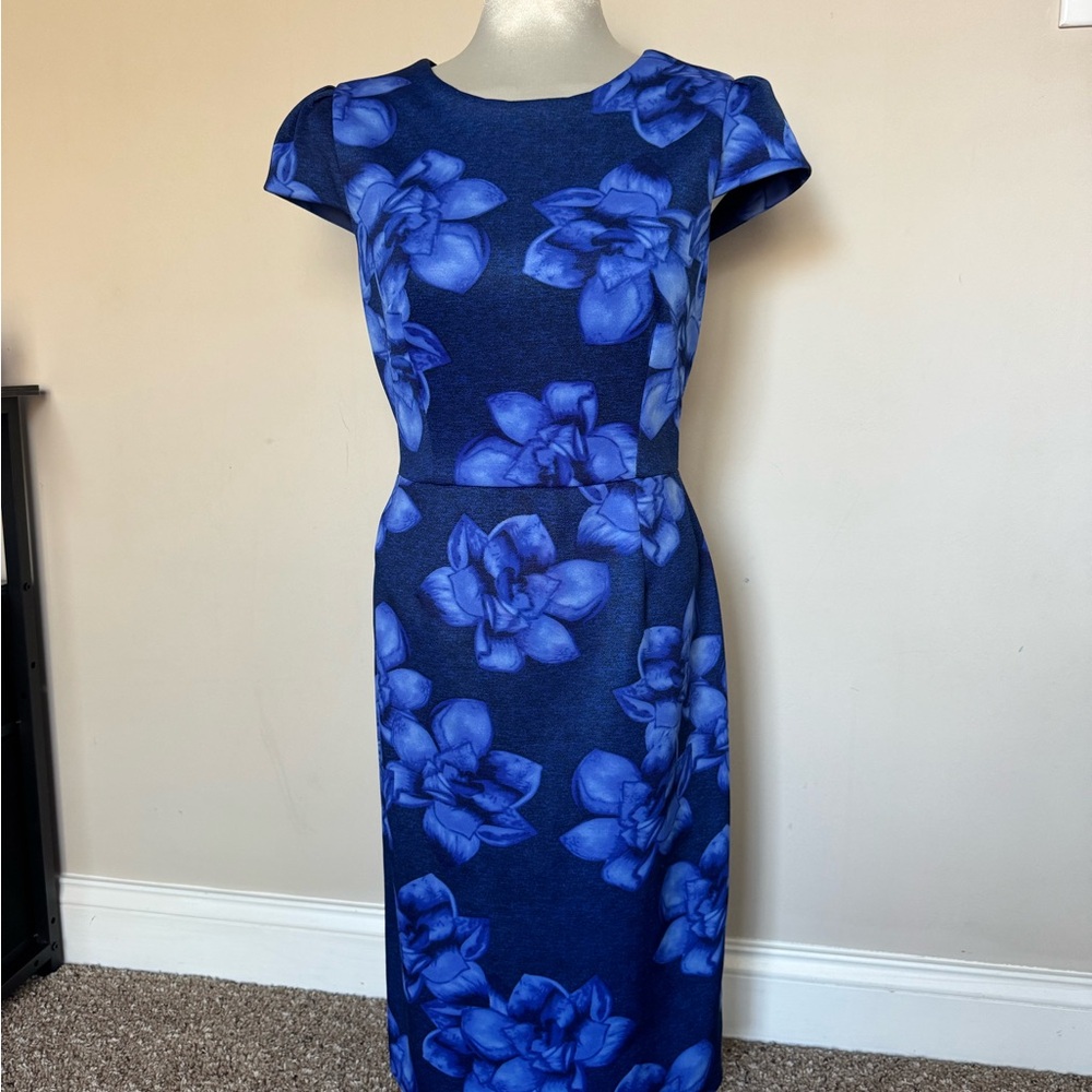 Betsey Johnson Gorgeous Floral Blue Dress Size 8